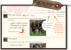 Comment fonctionne notre forum ?