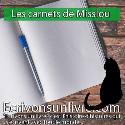 Les carnets de misslou