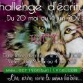 Loup challenge ecriture