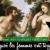 Pourquoi les femmes